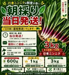 【3kg】天然行者にんにく 常温最短発送 道北産 朝採り天然行者ニンニク 3kg - メルカリ