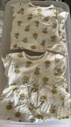 プティマイン　Tシャツ セット