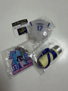 中日ドラゴンズ 柳裕也選手 ミニペンライト＆アクリルキーホルダー