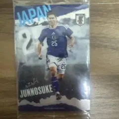 鈴木淳之介日本代表 カード
