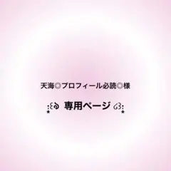 専用ページ 天海◎プロフィール必読◎様