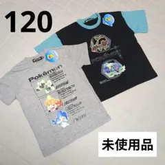 【120cm】ポケモン半袖 Tシャツ キッズ 夏 子供服 グレー テラパゴス
