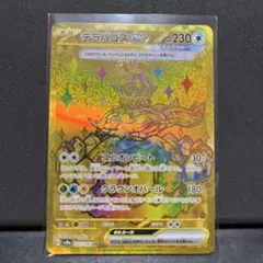テラパゴスex ur