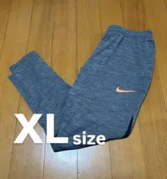 ペ*タ様 【NIKE】 ナイキ ジャージ サッカー (グレー)