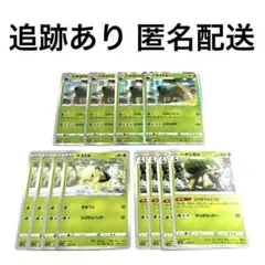 ◇ポケモンカード ナエトル ハヤシガメ ドダイトス r 進化ライン 各4枚