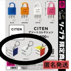 CITEN アソートコレクション 3種ABCタイプ
