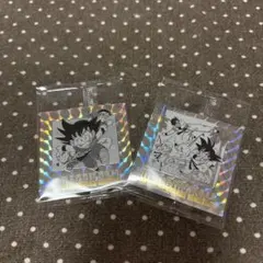 Item thumbnail for item 57f52906-09fb-4f70-8f02-7e2e912f9eba