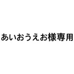 専用ページ