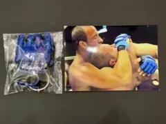 Item thumbnail for item a3150141-27d7-452f-9a9c-843c78e95e4c