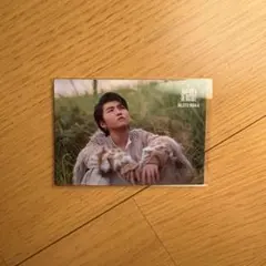 Mrs. GREEN APPLE ミセス 若井滉斗 フォトカ ゼンジン 035