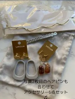 新品未使用　イヤリング　ヘアアクセサリー　6点セット