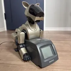 Item thumbnail for item 28695104-6be8-42ad-b5da-2ceb4fc4d4e1