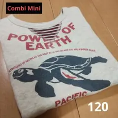 Combi Mini 半袖スウェット 120