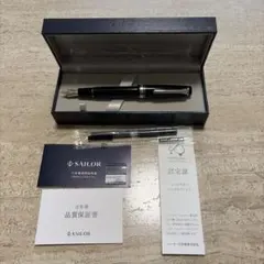 廃盤モデル】SAILOR プロフィット21 ブラックラスター EF - メルカリ