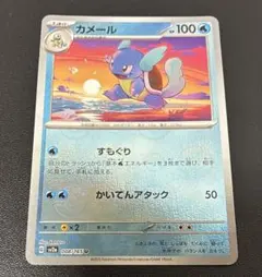 カメール　マスターボール、モンスターボール　各1枚ずつ　【橋】 カメール マスターボール、モンスターボール 各1枚ずつ 【橋】 - メルカリ