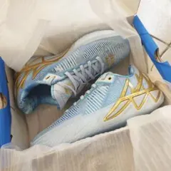 Item thumbnail for item 92b64528-104c-452d-9d23-4530f6d0ae71