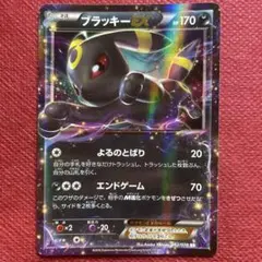 ブラッキーEX RR XY BREAK 拡張パック めざめる超王 042/078 - メルカリ