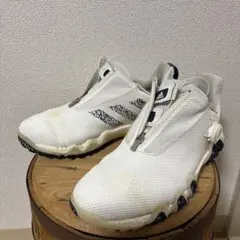 コードカオス22