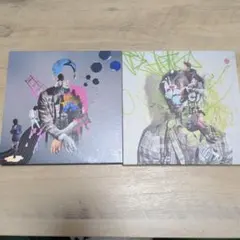 貴重 ホワイト レコード2枚組 桑田佳祐 Rock And Roll Hero - メルカリ