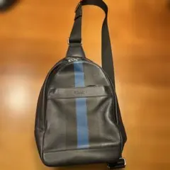 COACH レザー ショルダーバッグ ブラック/ブルー