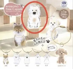 Item thumbnail for item 2b68eaf6-715c-4075-a62a-43c20d74e552