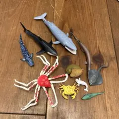 海洋生物 フィギュア 12体セットのサムネイル