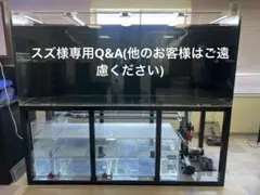 k.rsoccerlove69様専用】大型アクリル水槽・濾過槽・その他備品 - メルカリ
