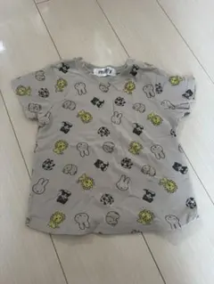 Item thumbnail for item ab8b118f-299f-4563-9d38-e7ac176e555e