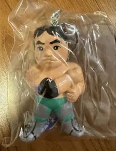 2026年最新】川田利明フィギュアの人気アイテム - メルカリ