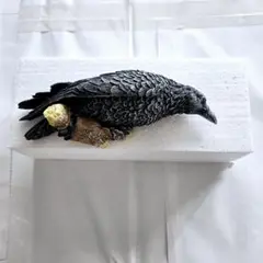 カラス ホームインテリア からす壁掛け 烏 置物