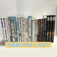 ⭐️お値下げ⭐️児童書22冊まとめ売り
