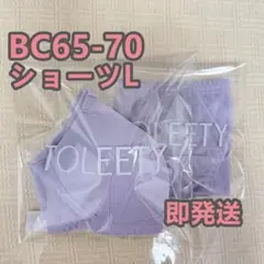 TOLEETY 軽やかストレスフリーブラ&ショーツ BC65-70 パープル L