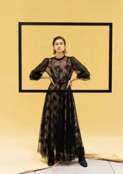 FRAY I.D チュールレイヤードレス《ブラック》結婚式　パーティー　お呼ばれ