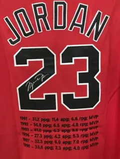 超激レア、マイケル・ジョーダン メモリアル ユニフォーム シカゴ ブルズ 23番のサムネイル