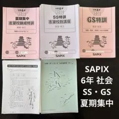 SAPIX SS特訓 社会 志望校特訓 15冊セット2026受験組 SAPIX SS特訓 社会 志望校特訓 15冊セット2026受験組 - メルカリ
