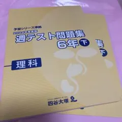 2026年最新】四谷大塚週テスト6年の人気アイテム - メルカリ