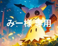 みー様 専用