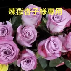 アプリコット色の薔薇 苗 イングリッシュローズ ロゼット咲 - メルカリ