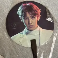 EXO うちわ　クッションカバー　大判フォト　公式グッズ　セフン　チャニョル EXO うちわクッションカバー大判フォト公式グッズセフンチャニョル