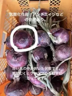 赤玉ねぎ　箱込み2キロ　 農薬、化学肥料使用なし。 薄皮は、少し残して置きます。のサムネイル