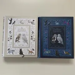 The Sorcerer's Apprentice KALDI 2缶セット