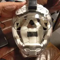 Item thumbnail for item fb43aade-155a-40a6-a6e1-fef3dbddf5d3