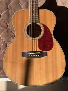 Stafford & Co. SF - 300 アコースティックギター セット Stafford & Co. SF - 300 アコースティックギター セット