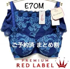 ＊E70Mトリンプ レッドレーベル 0099 ブラ＆ショーツ Navy PT
