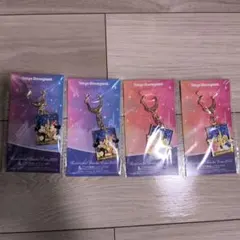 東京ディズニーランド 三井不動産　2025 キーホルダー 4個セット