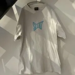 Item thumbnail for item 7acf43bc-1fef-4bd0-b0c3-6d3bf4aa3704