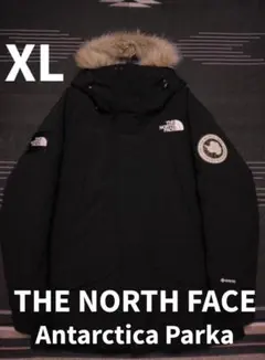 THE NORTH FACE アンタークティカパーカ