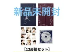 &TEAM Mark on Me 12形態セット weverse 特典付き