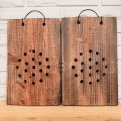 ビカクシダ 板付用 2枚セット 着床板 ハニカム型 コウモリラン 着生材