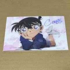 Item thumbnail for item b360eaca-a581-4a82-bf58-213c694d221a